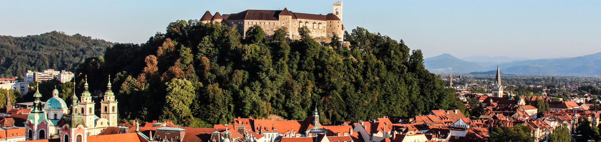Odvetnik za gospodarsko pravo