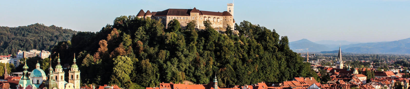 Odvetnik Ljubljana