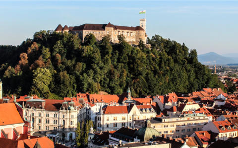 Odvetnik Ljubljana